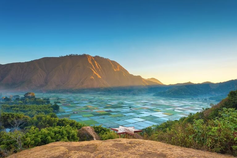 aktifitas di lombok